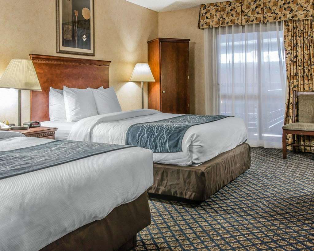 Quality Inn & Suites Coldwater Near I-69 Chambre photo