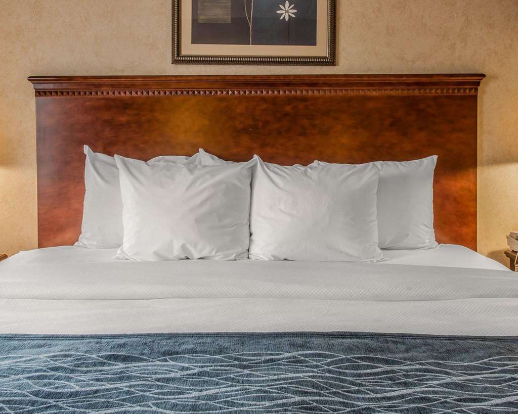 Quality Inn & Suites Coldwater Near I-69 Chambre photo