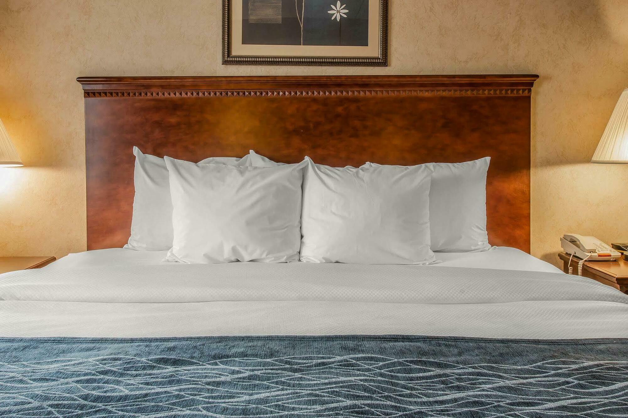 Quality Inn & Suites Coldwater Near I-69 Extérieur photo
